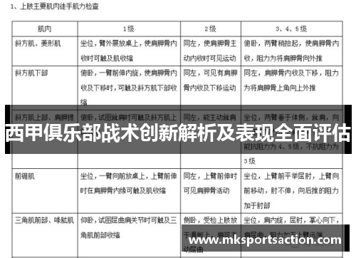 西甲俱乐部战术创新解析及表现全面评估