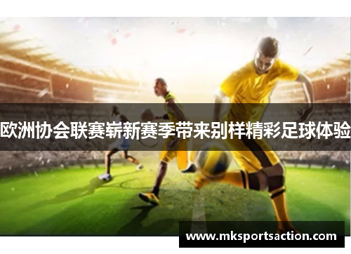 欧洲协会联赛崭新赛季带来别样精彩足球体验